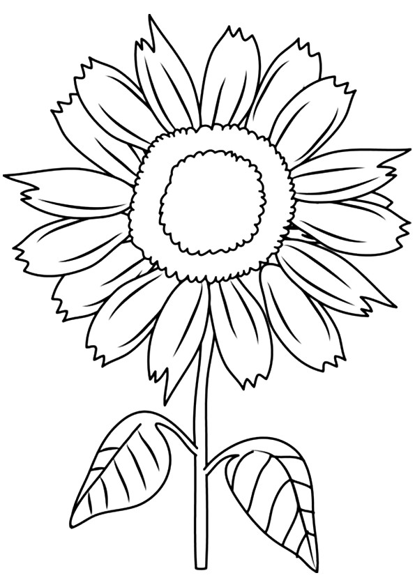 Sunny Smile Sunflower Coloring Page - Free Printable Coloring Pages for