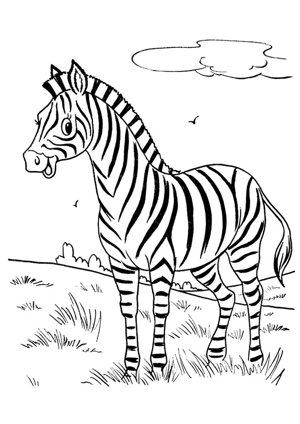 Cute Baby Zebra Coloring Page - Free Printable Coloring Pages for Kids