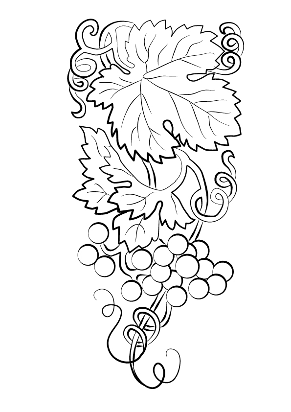 Beautiful Bunch Of Grapes Coloring Page - Free Printable ...