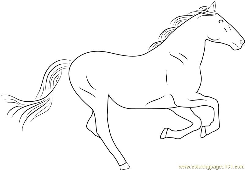 Download Horse Running Fast Coloring Page - Free Printable Coloring Pages for Kids