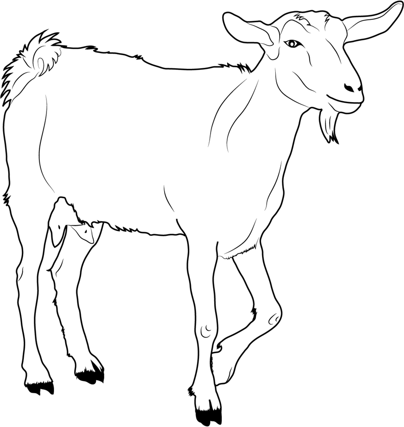 Download Goat Walking Coloring Page - Free Printable Coloring Pages for Kids