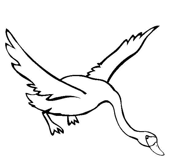 Swan Flying Coloring Page - Free Printable Coloring Pages for Kids