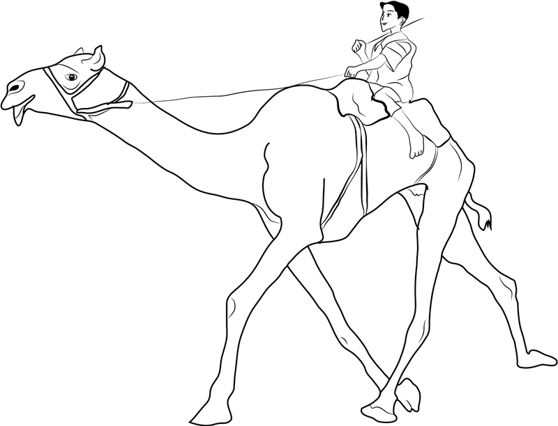 Download Man Riding Camel Coloring Page - Free Printable Coloring Pages for Kids