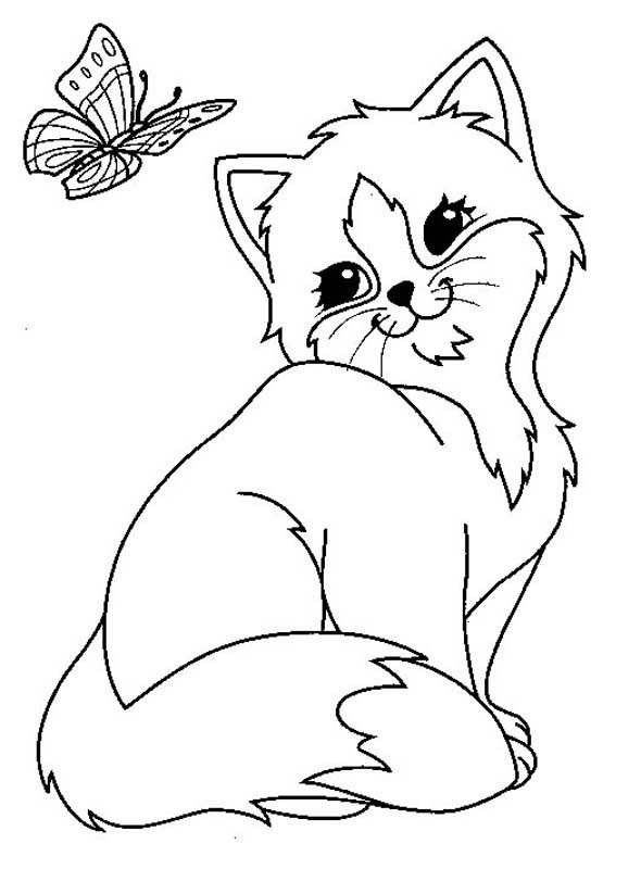 Cat With Butterfly Coloring Page - Free Printable Coloring Pages for Kids