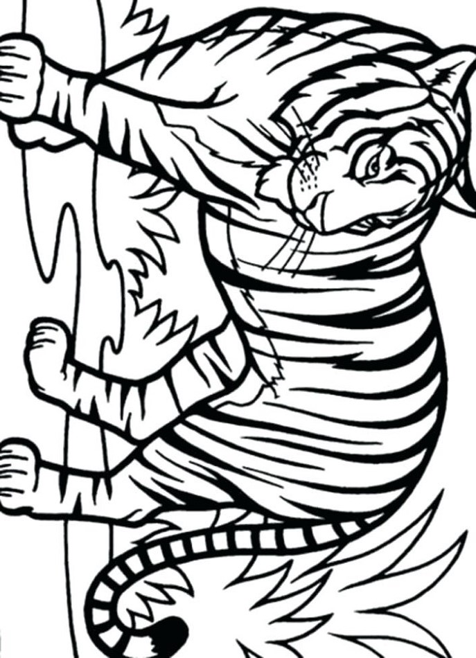 Beautiful Tiger Coloring Page - Free Printable Coloring Pages for Kids