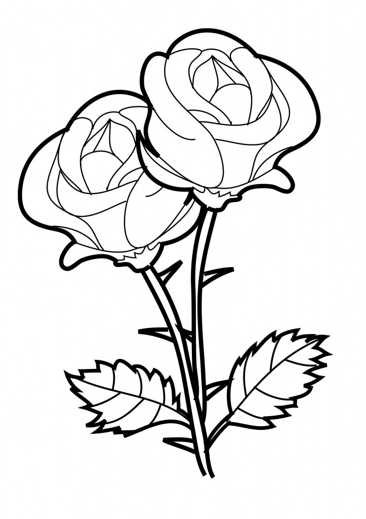 Two Roses Coloring Page - Free Printable Coloring Pages for Kids