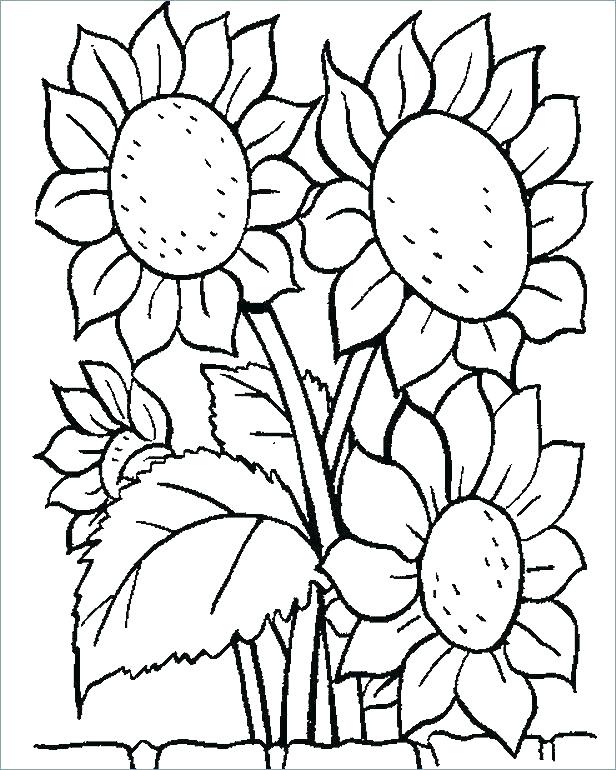 Download A Bunch Of Sunflowers Coloring Page - Free Printable ...