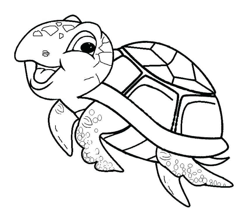 Cute Baby Sea Turtle Coloring Page - Free Printable Coloring Pages for Kids