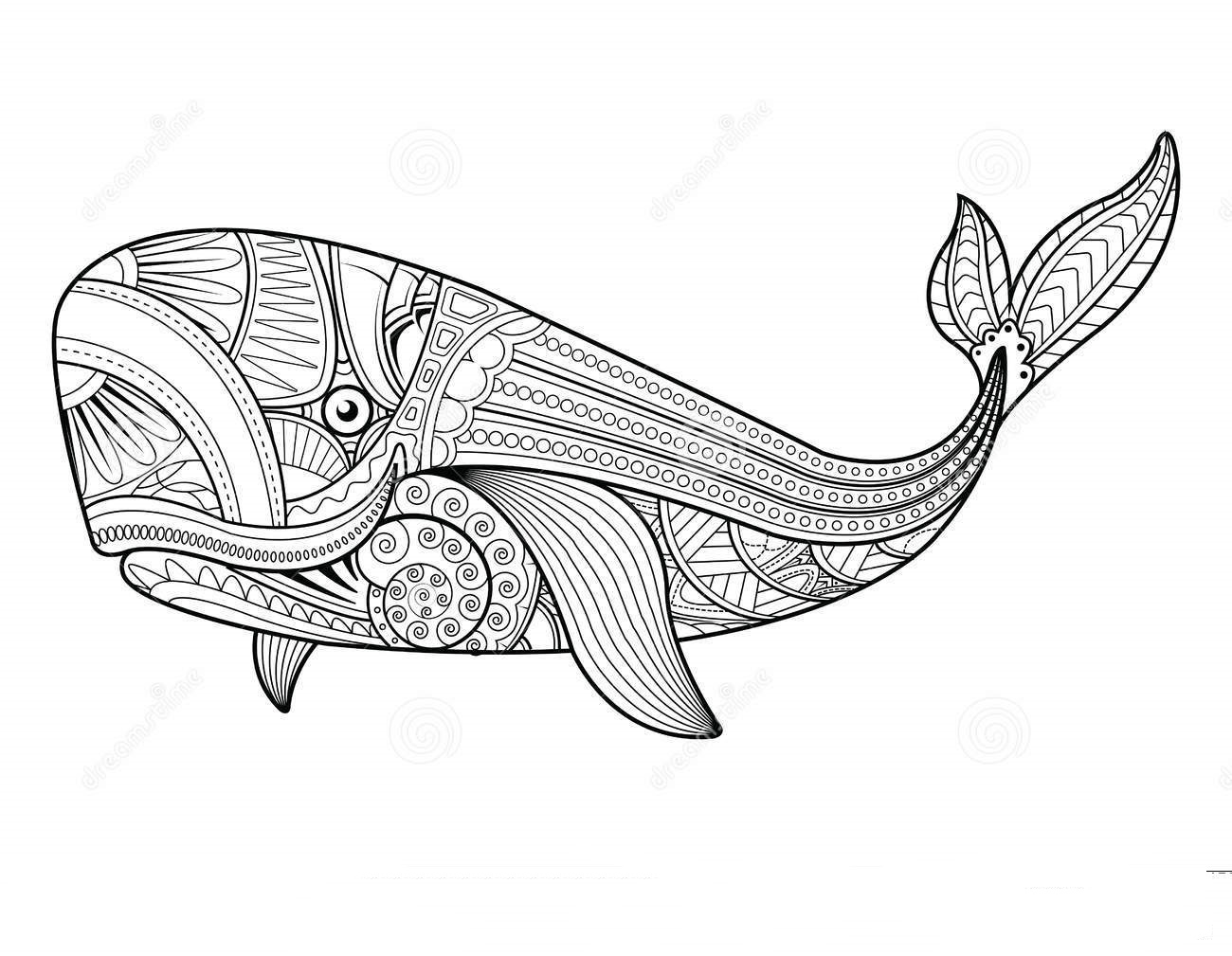 Download Mandala Whale Coloring Page - Free Printable Coloring ...