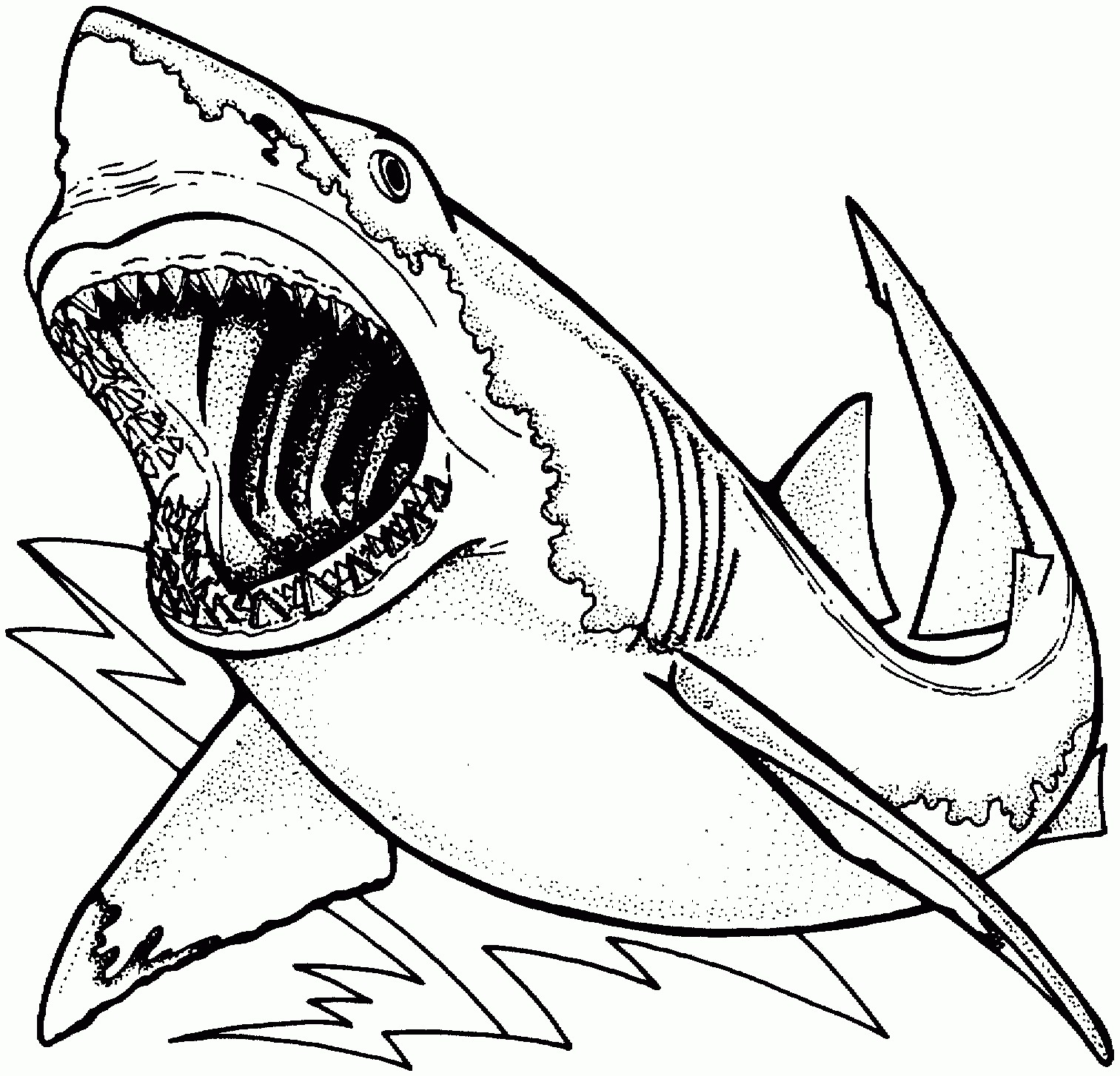 Awesome Great White Shark Coloring Page - Free Printable ...