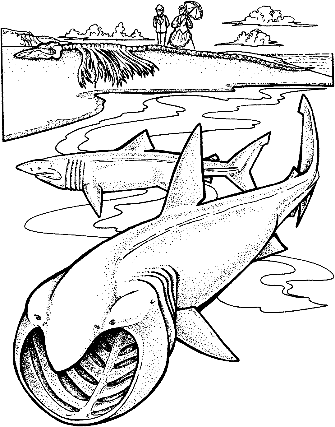 Big Mouth Shark Coloring Page - Free Printable Coloring ...