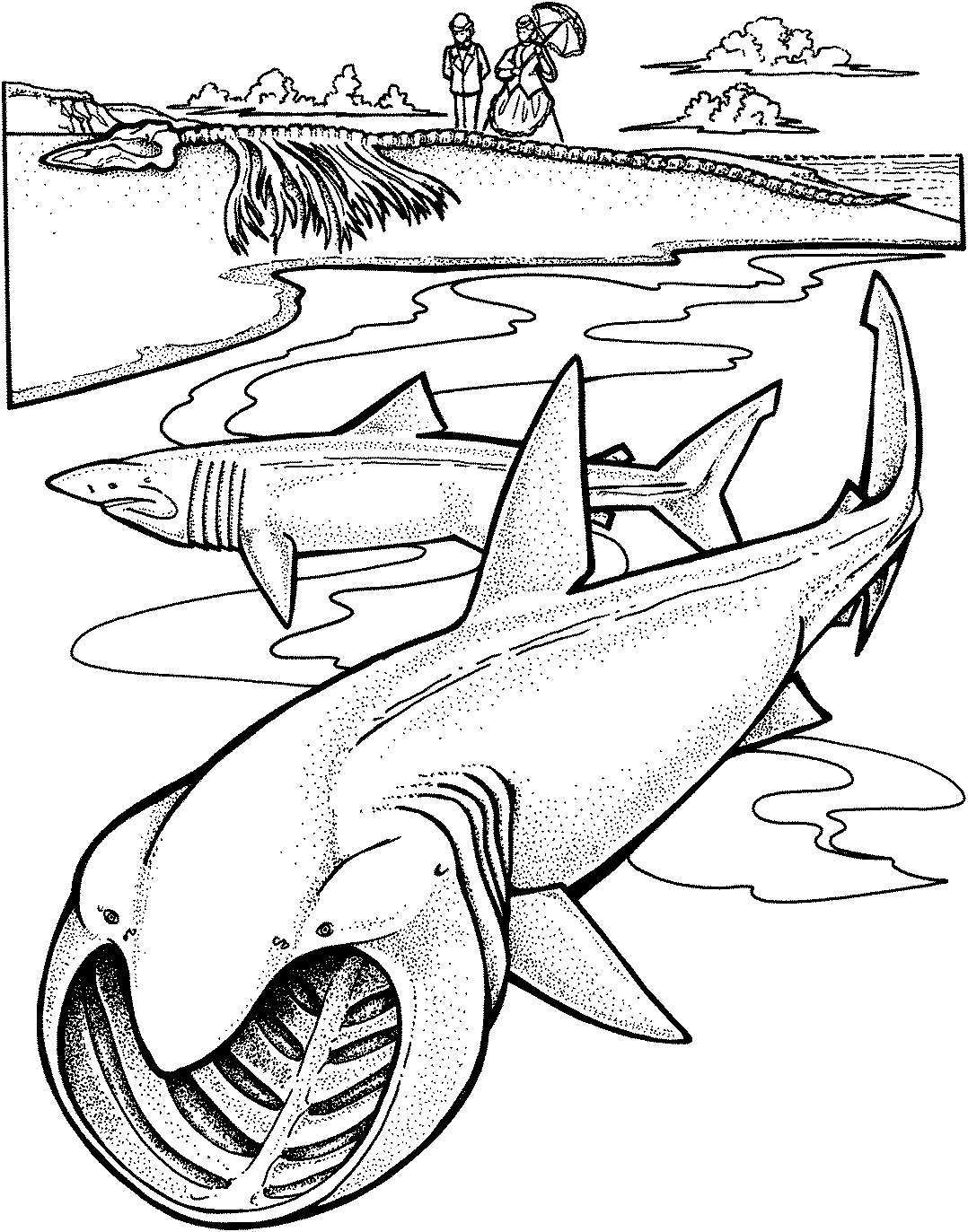 Big Mouth Shark Coloring Page - Free Printable Coloring Pages for Kids