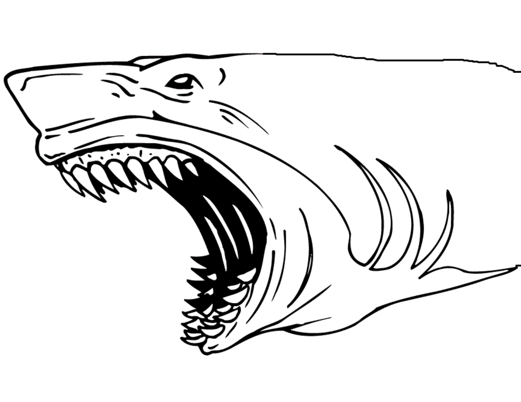Sharks Scary Jaw Coloring Page Free Printable Pages For Kids.