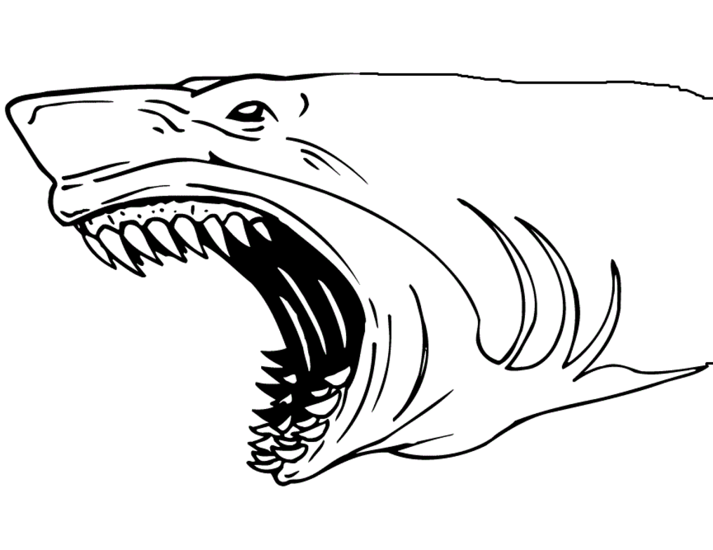 Shark s Scary Jaw Coloring Page Free Printable Coloring Pages For Kids Shark s Scary Jaw Coloring Page Free Printable Coloring Pages For Kids