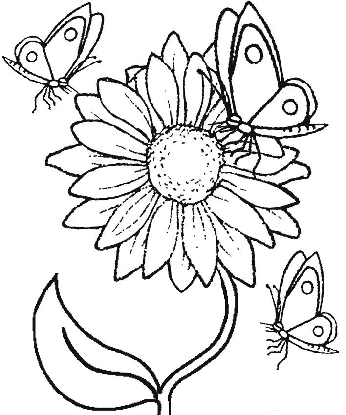 Sunflower And Butterfly Coloring Page - Free Printable Coloring Pages