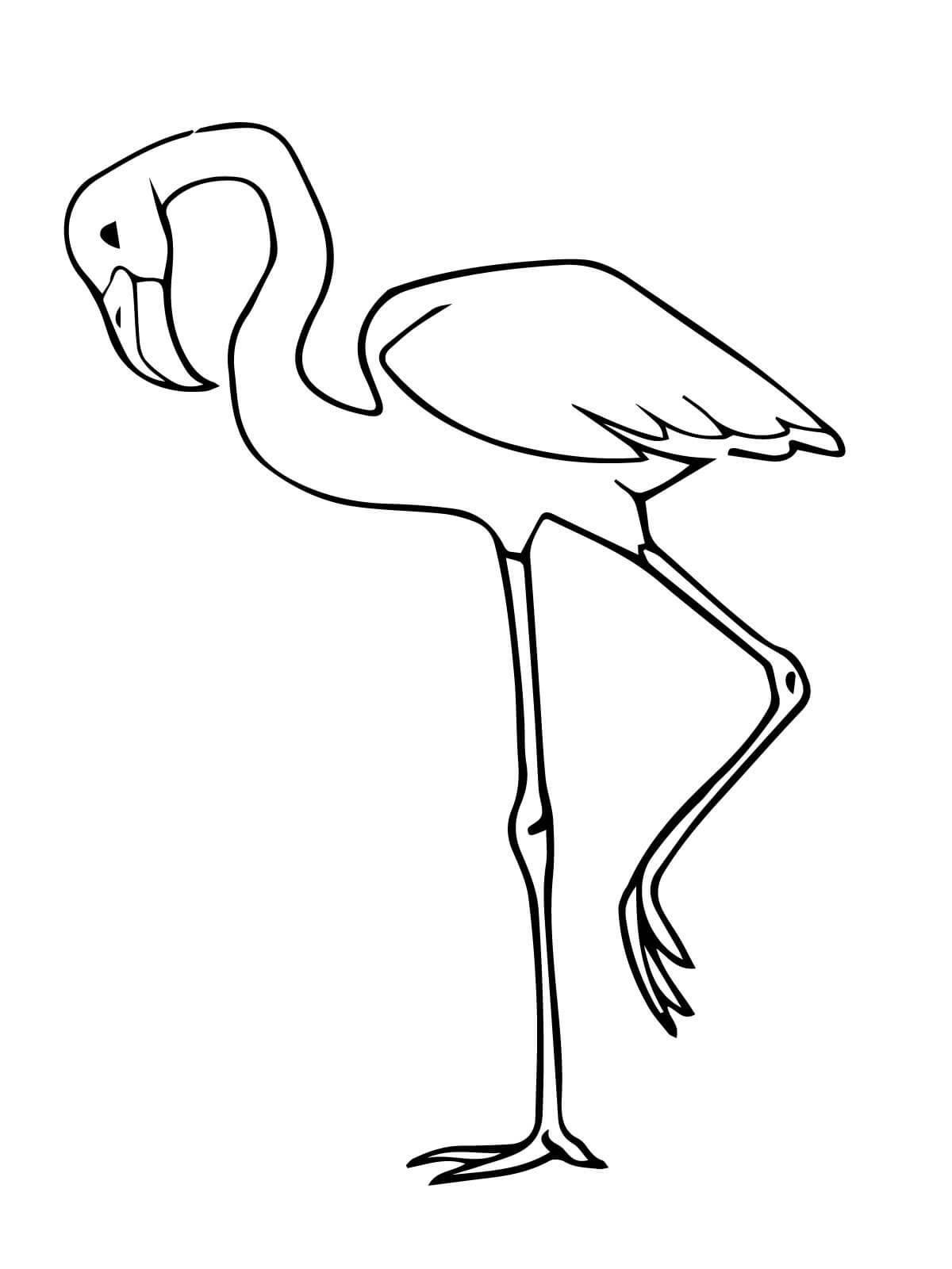 simple-flamingo-coloring-page-free-printable-coloring-pages-for-kids