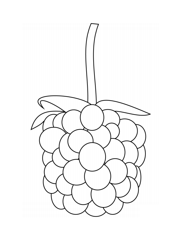A Blackberry Coloring Page - Free Printable Coloring Pages for Kids