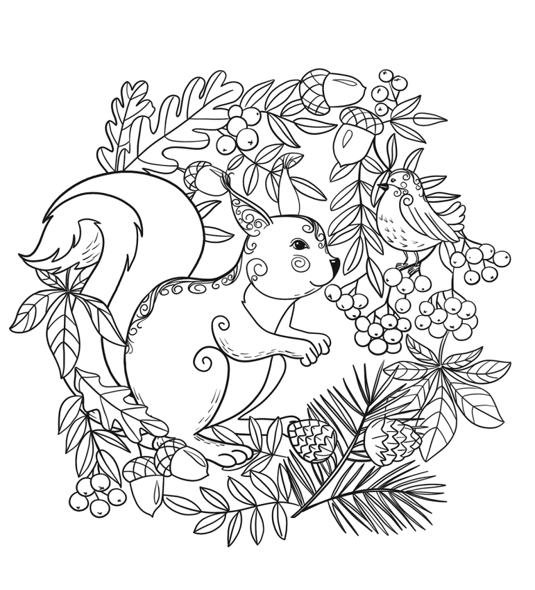 Squirrel And Bird Coloring Page - Free Printable Coloring Pages for Kids