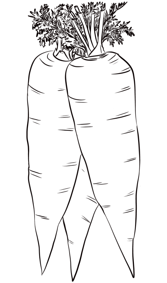 3 Carrots Coloring Page Free Printable Coloring Pages For Kids