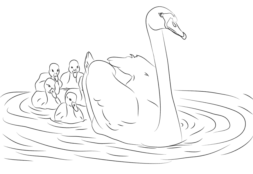 Swan And Her Cygnets Coloring Page - Free Printable Coloring Pages for Kids