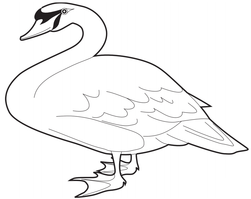A Mute Swan Coloring Page - Free Printable Coloring Pages for Kids