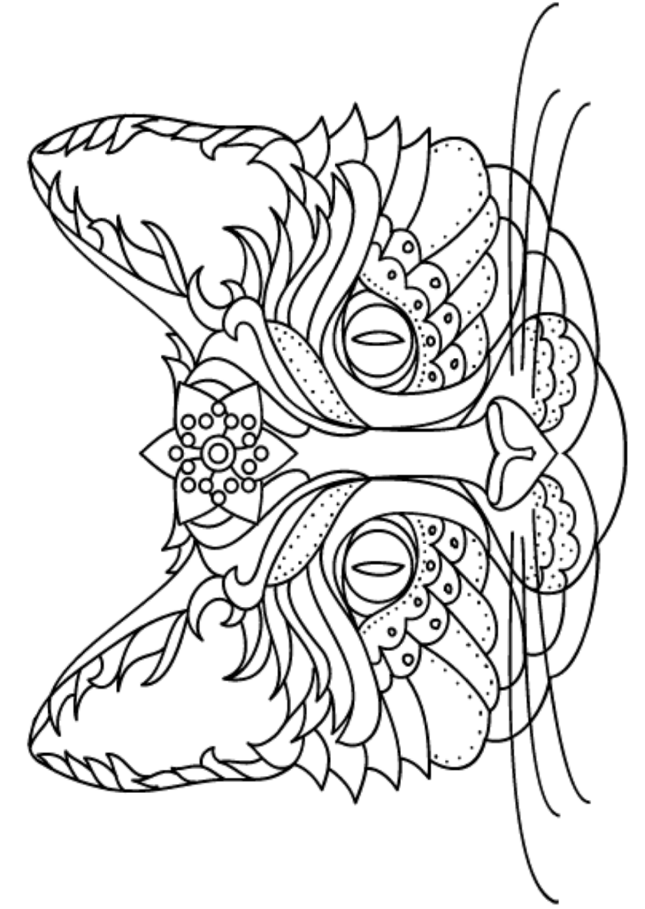 Special Cat Face Coloring Page - Free Printable Coloring Pages for Kids