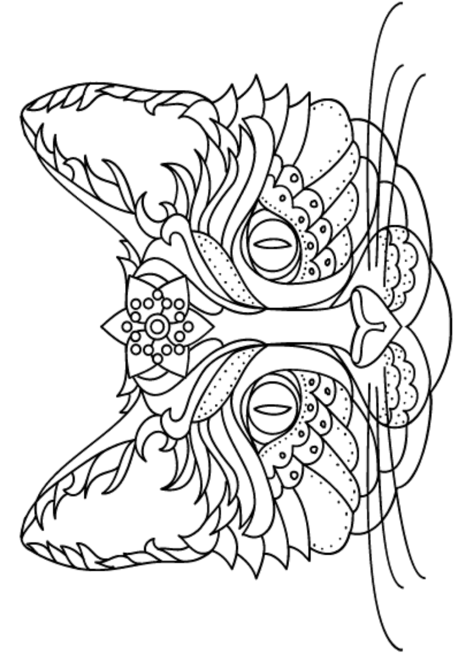 Special Cat Face Coloring Page Free Printable Coloring Pages For Kids