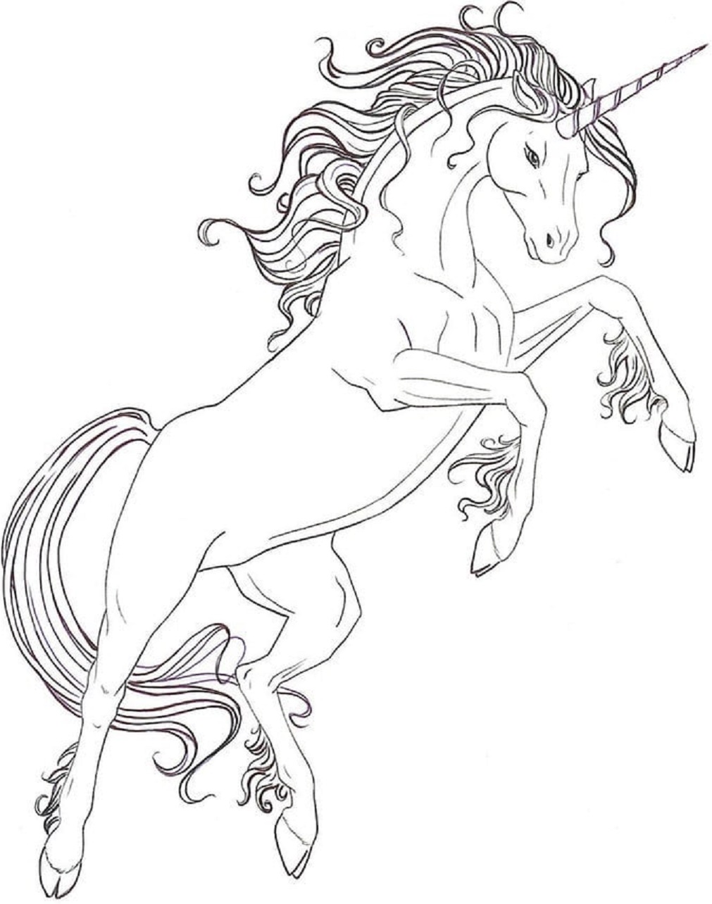 Unicorn Jumping Coloring Page - Free Printable Coloring Pages for Kids