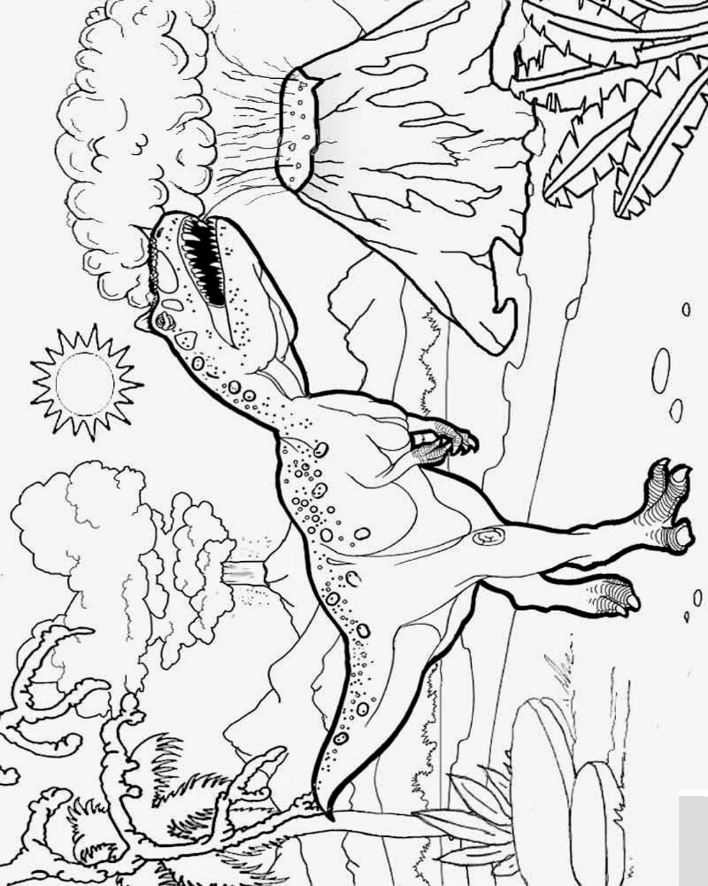 My Image 66