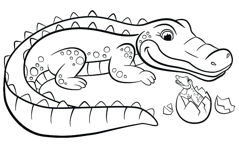 Crocodile And Hatched Egg Baby Coloring Page - Free Printable Coloring